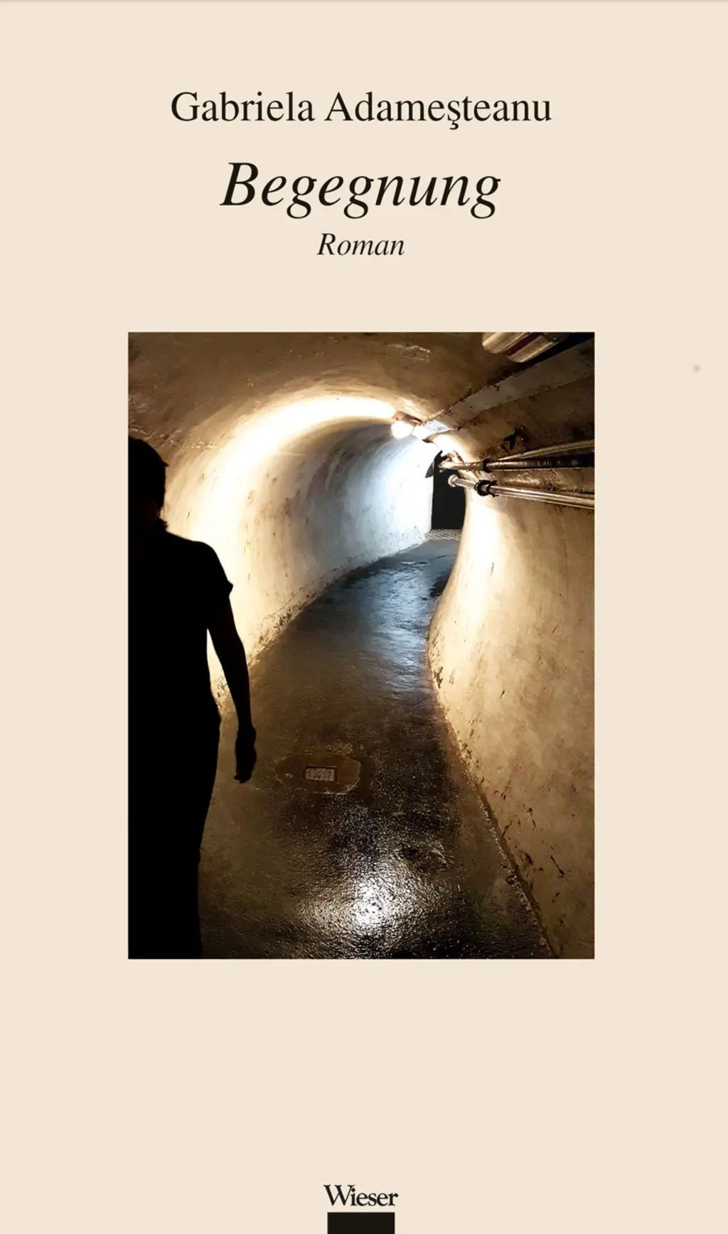 Cover: 9783990292877 | Begegnung | Gabriela Adamesteanu | Buch | 304 S. | Deutsch | 2018
