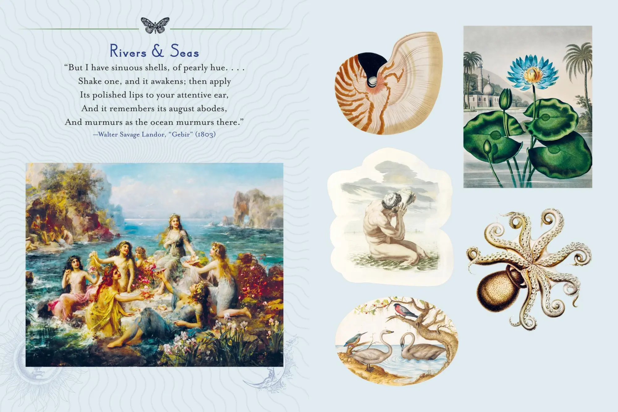 Bild: 9781454962977 | Mystical Earth Sticker Book | Taschenbuch | Englisch | 2026
