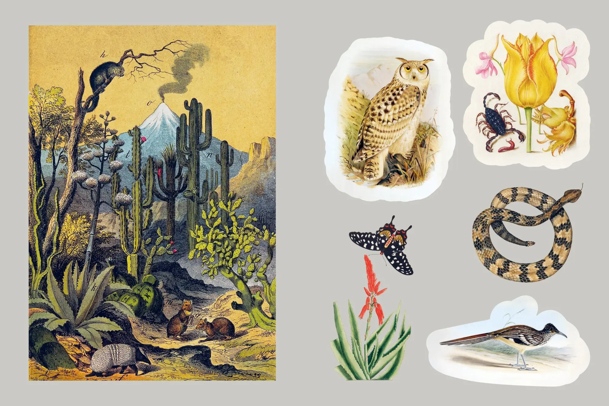 Bild: 9781454962977 | Mystical Earth Sticker Book | Taschenbuch | Englisch | 2026