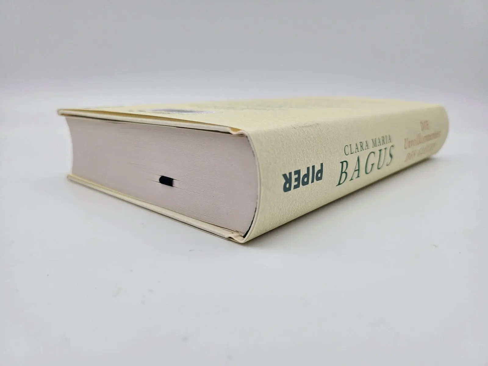 Bild: 9783492072977 | Die Unvollkommenheit des Glücks | Clara Maria Bagus | Buch | 416 S.