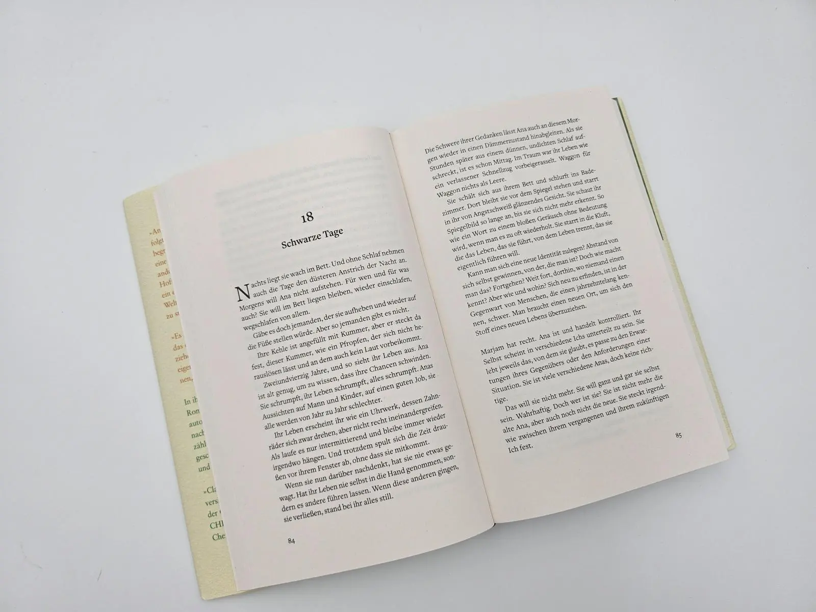 Bild: 9783492072977 | Die Unvollkommenheit des Glücks | Clara Maria Bagus | Buch | 416 S.