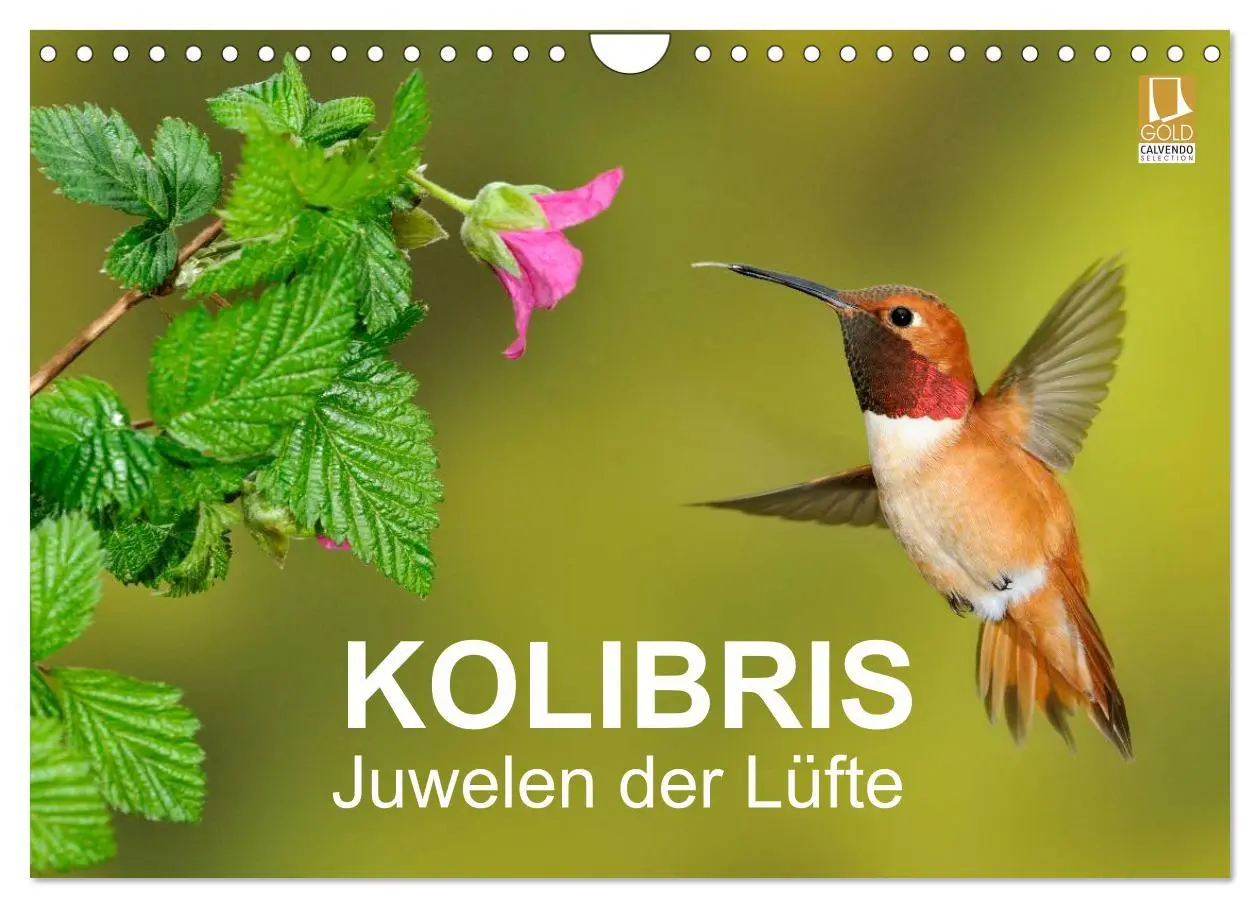 Cover: 9783516062977 | Kolibris - Juwelen der Lüfte (Wandkalender 2026 DIN A4 quer),...