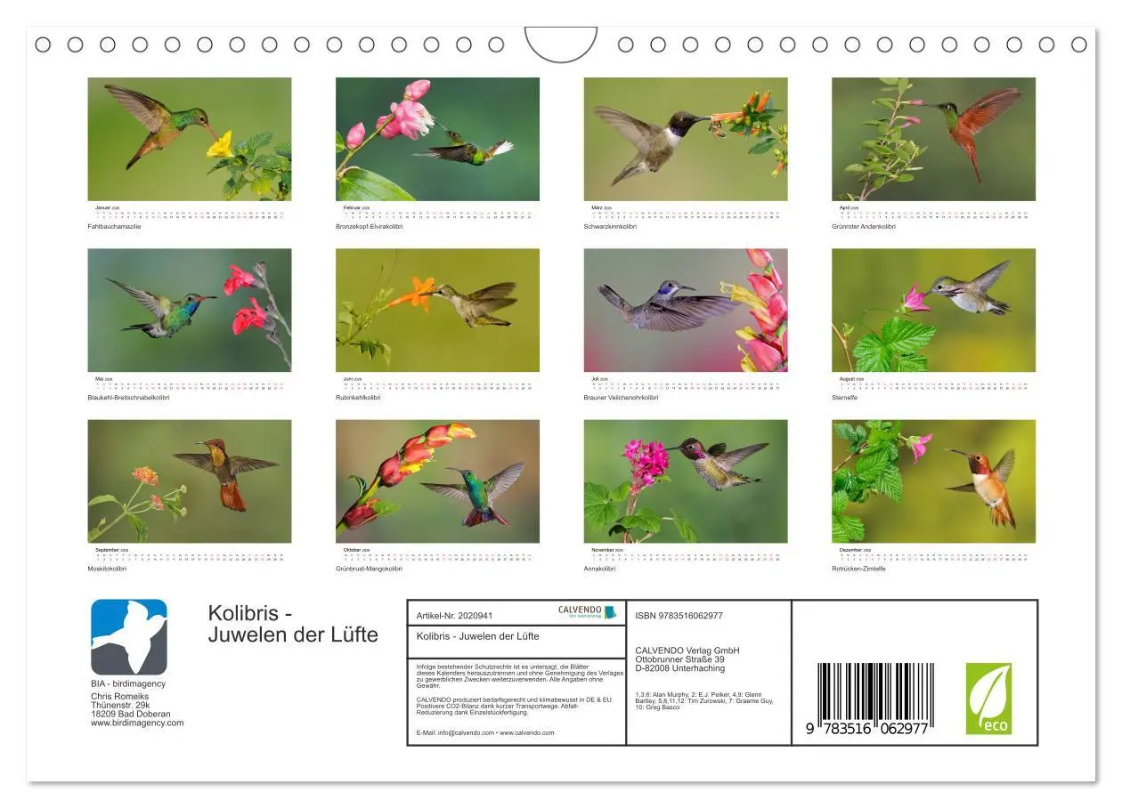 Bild: 9783516062977 | Kolibris - Juwelen der Lüfte (Wandkalender 2026 DIN A4 quer),...
