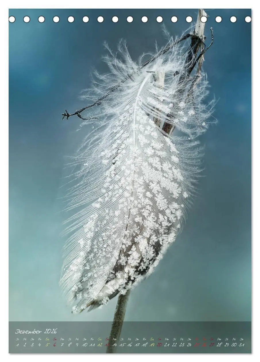Bild: 9783516372977 | Moment Zauber (Tischkalender 2026 DIN A5 hoch), CALVENDO...