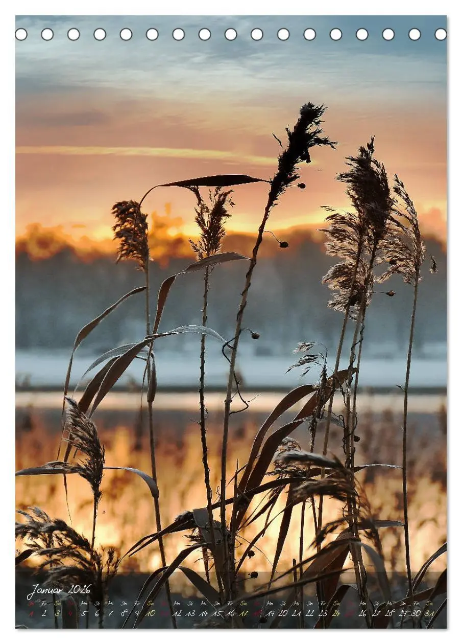 Bild: 9783516372977 | Moment Zauber (Tischkalender 2026 DIN A5 hoch), CALVENDO...