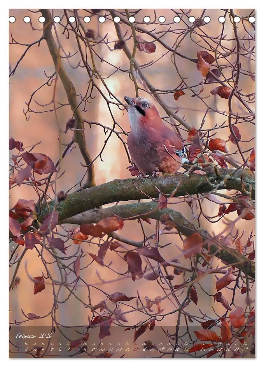 Bild: 9783516372977 | Moment Zauber (Tischkalender 2026 DIN A5 hoch), CALVENDO...