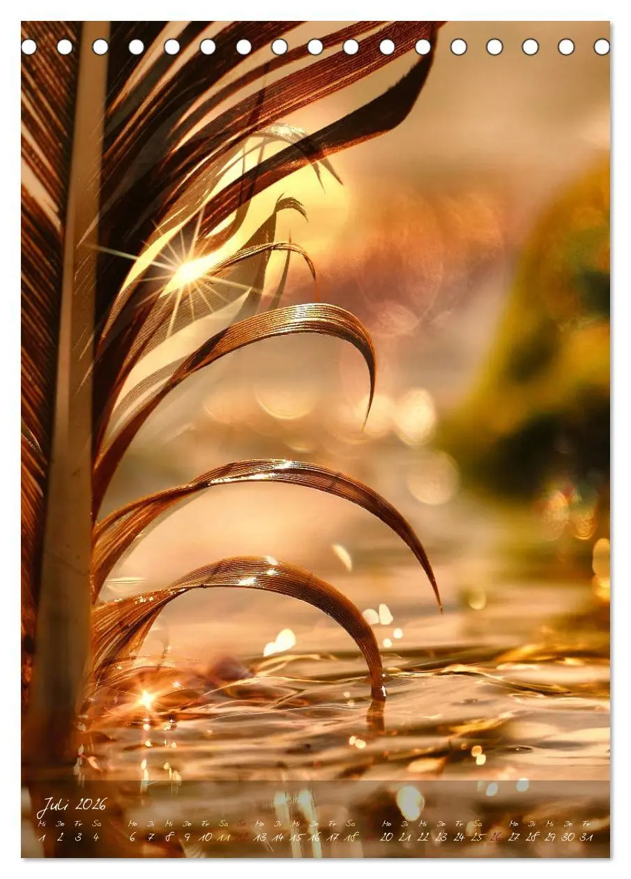 Bild: 9783516372977 | Moment Zauber (Tischkalender 2026 DIN A5 hoch), CALVENDO...