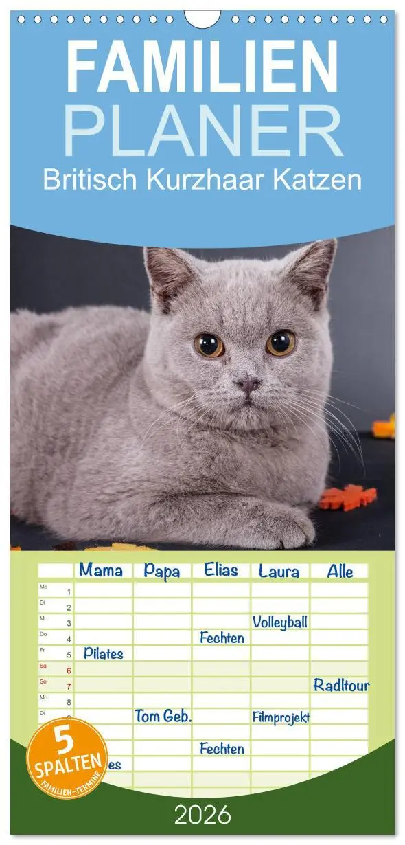 Cover: 9783516512977 | Familienplaner 2026 - Britisch Kurzhaar Katzen mit 5 Spalten...
