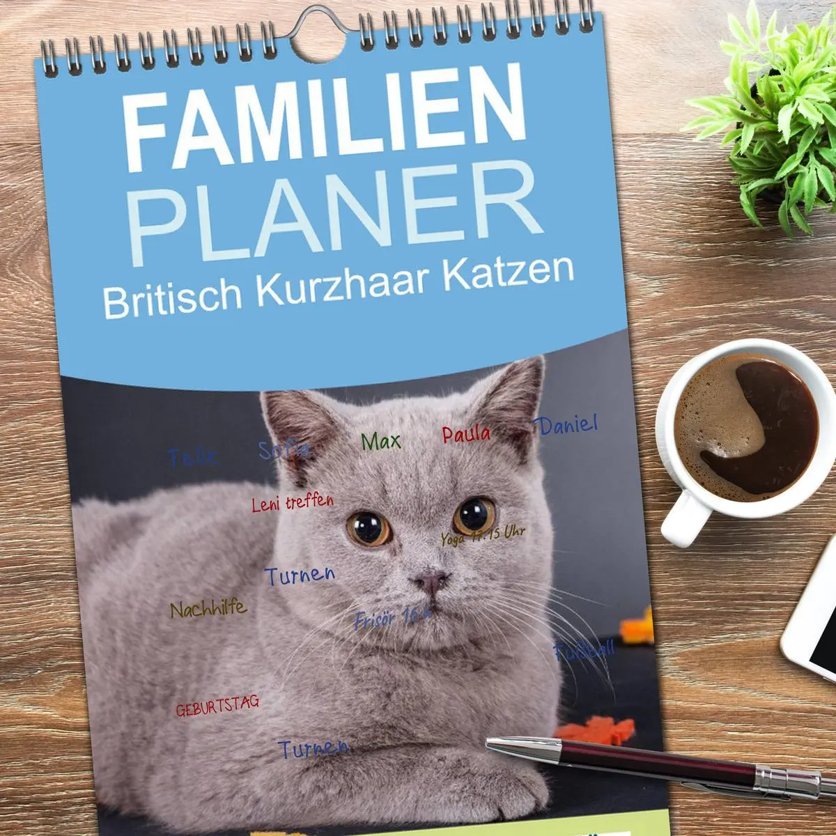 Bild: 9783516512977 | Familienplaner 2026 - Britisch Kurzhaar Katzen mit 5 Spalten...
