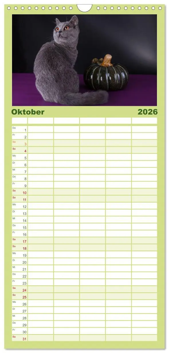 Bild: 9783516512977 | Familienplaner 2026 - Britisch Kurzhaar Katzen mit 5 Spalten...