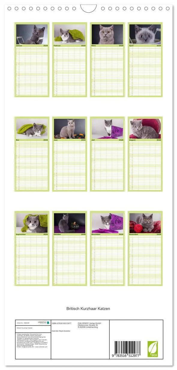 Bild: 9783516512977 | Familienplaner 2026 - Britisch Kurzhaar Katzen mit 5 Spalten...