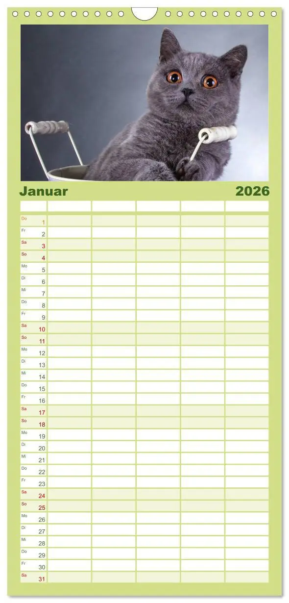 Bild: 9783516512977 | Familienplaner 2026 - Britisch Kurzhaar Katzen mit 5 Spalten...