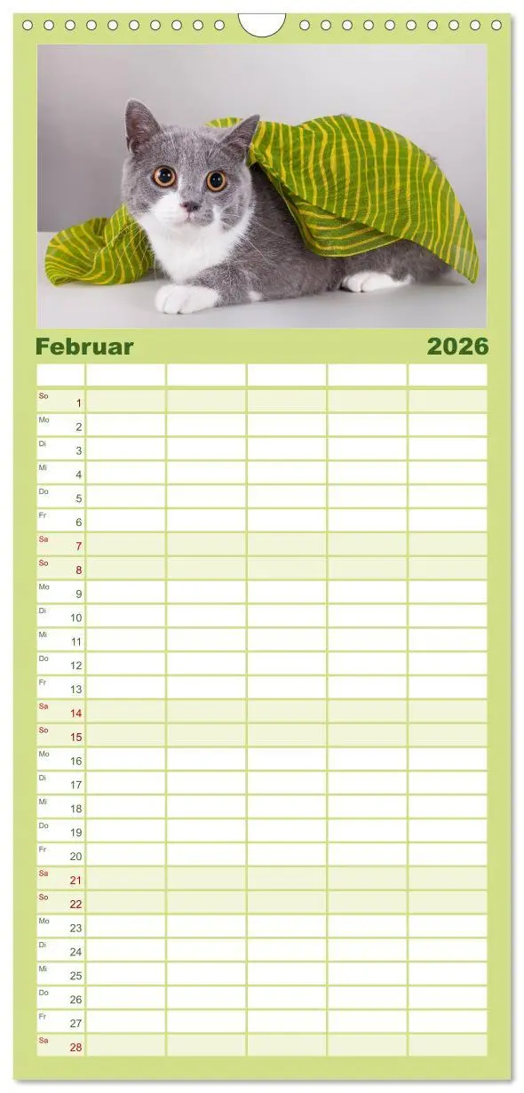 Bild: 9783516512977 | Familienplaner 2026 - Britisch Kurzhaar Katzen mit 5 Spalten...