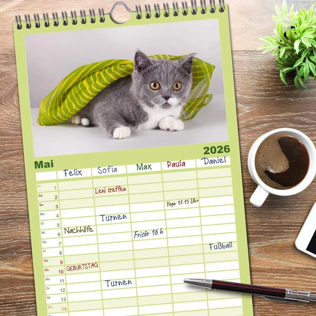 Bild: 9783516512977 | Familienplaner 2026 - Britisch Kurzhaar Katzen mit 5 Spalten...