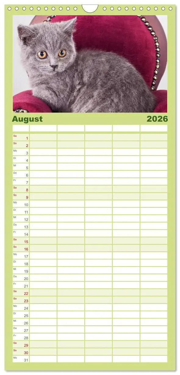 Bild: 9783516512977 | Familienplaner 2026 - Britisch Kurzhaar Katzen mit 5 Spalten...