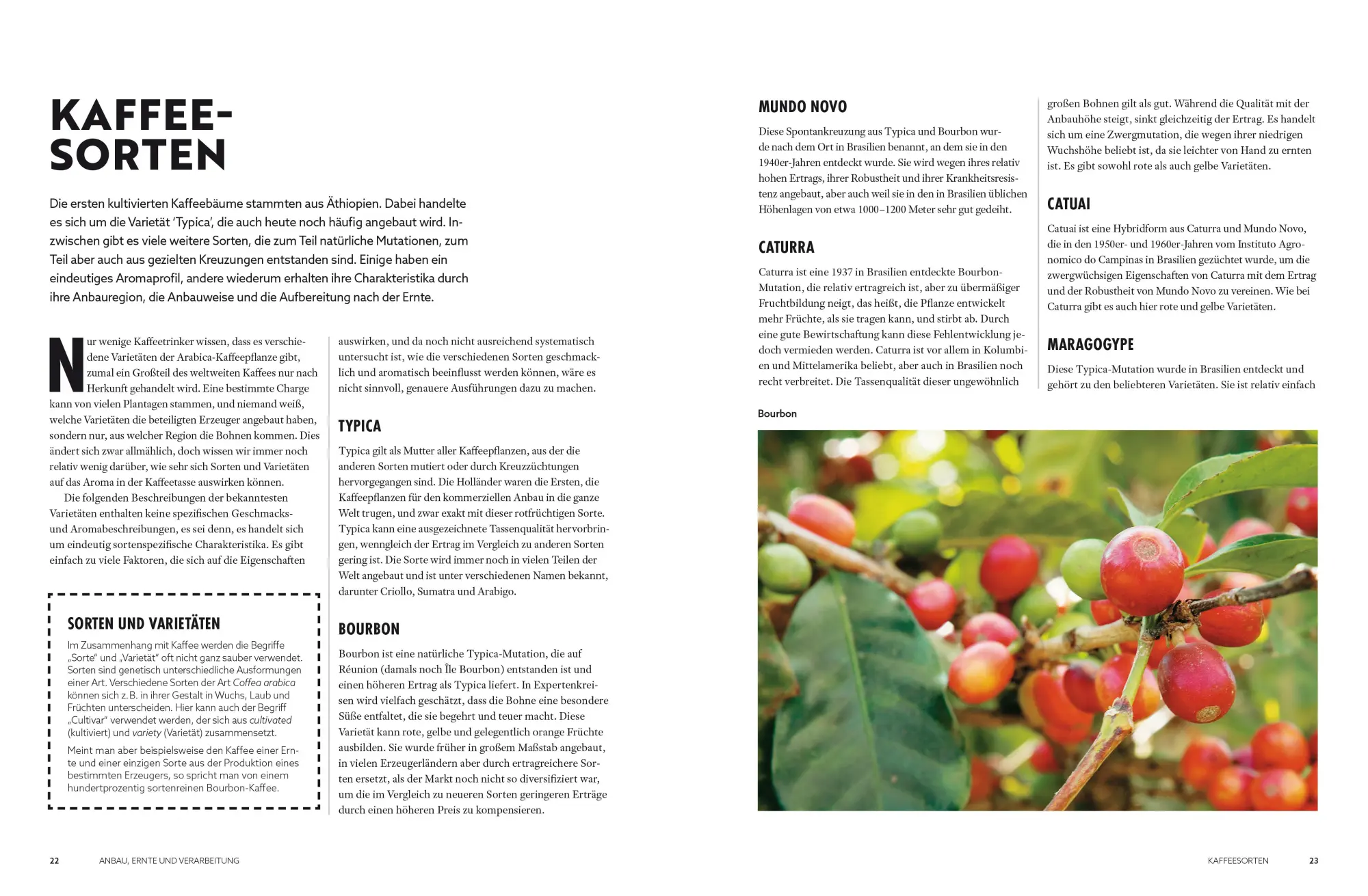 Bild: 9783965842977 | Der Kaffeeatlas | James Hoffmann | Buch | 272 S. | Deutsch | 2023 | ZS