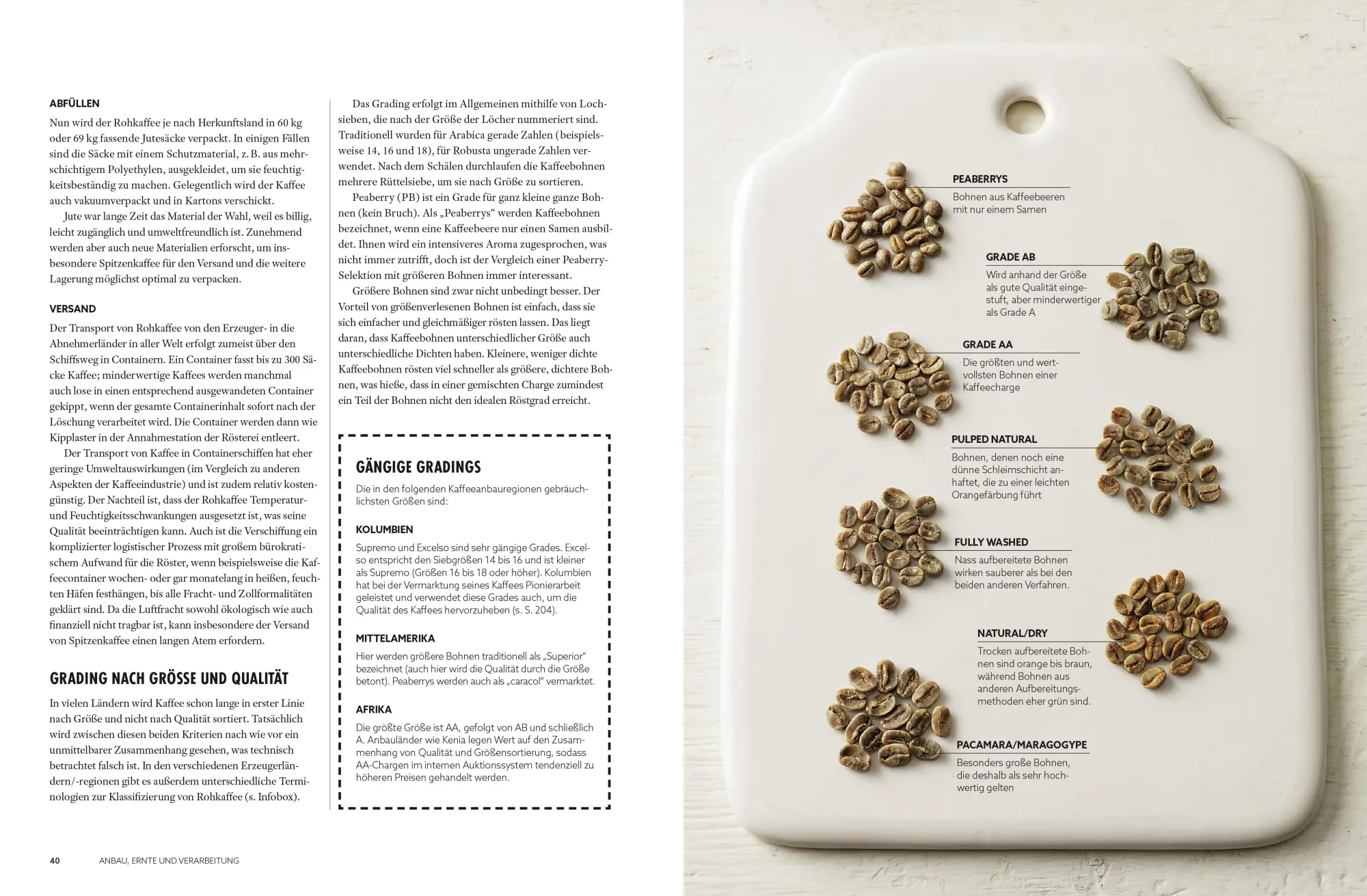 Bild: 9783965842977 | Der Kaffeeatlas | James Hoffmann | Buch | 272 S. | Deutsch | 2023 | ZS