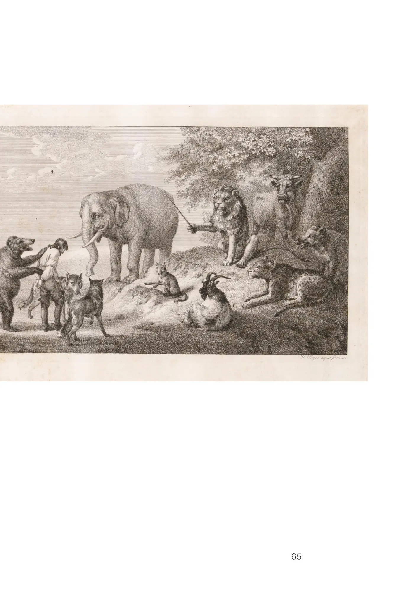 Bild: 9783422803077 | Paulus Potter | Zurück in Kassel | Justus Lange | Taschenbuch | 79 S.
