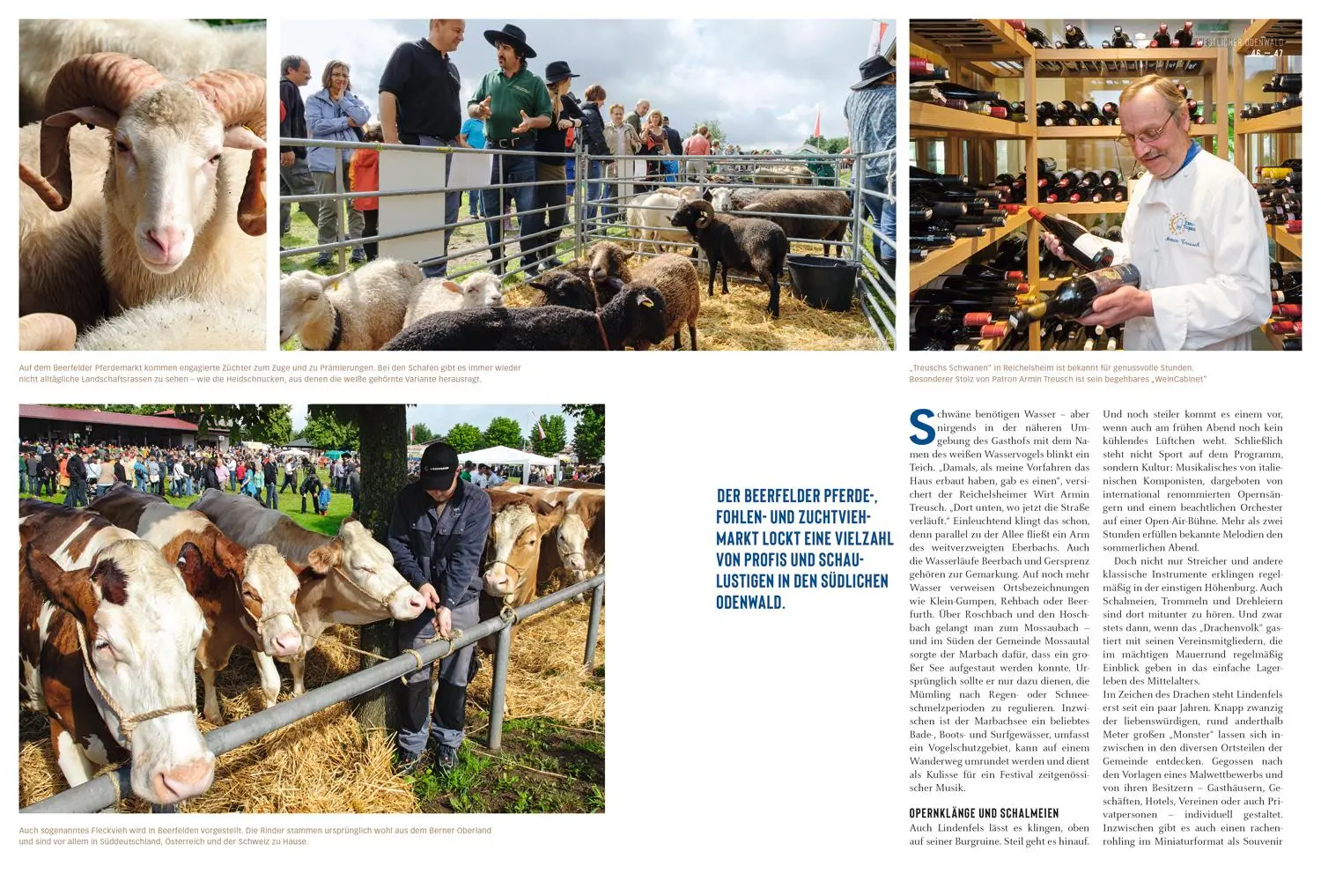 Bild: 9783616013077 | DuMont Bildatlas Odenwald | Rita Henss | Taschenbuch | 122 S. | 2022