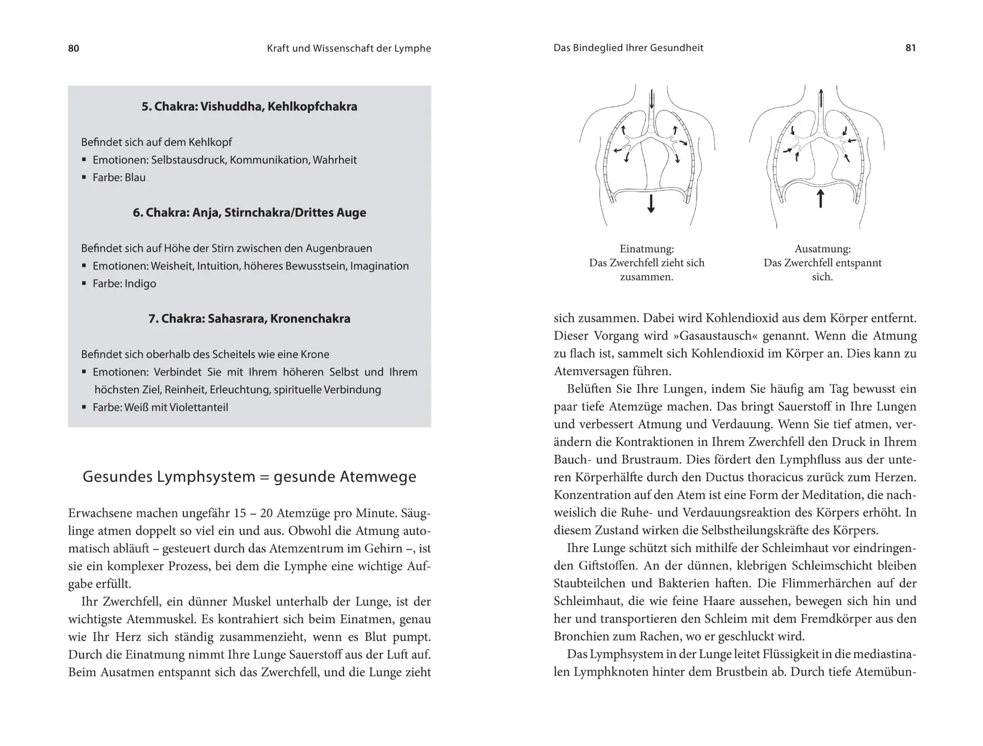 Bild: 9783778793077 | Die heilende Kraft der Lymphe | Lisa Levitt Gainsley | Buch | 368 S.