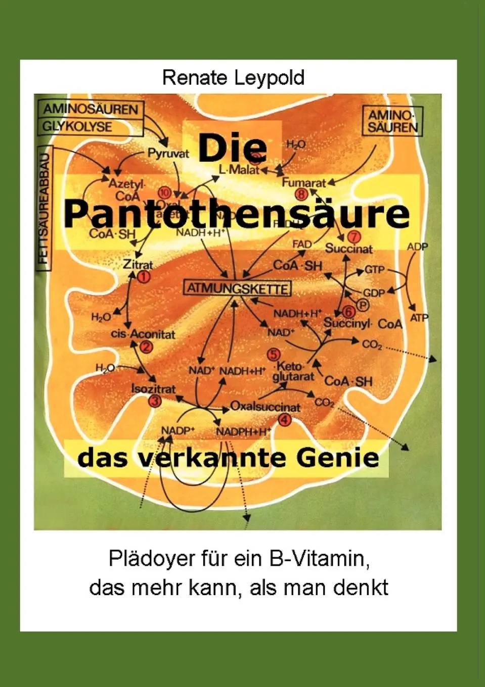 Cover: 9783000053177 | Die Pantothensäure - das verkannte Genie | Renate Leypold | Buch