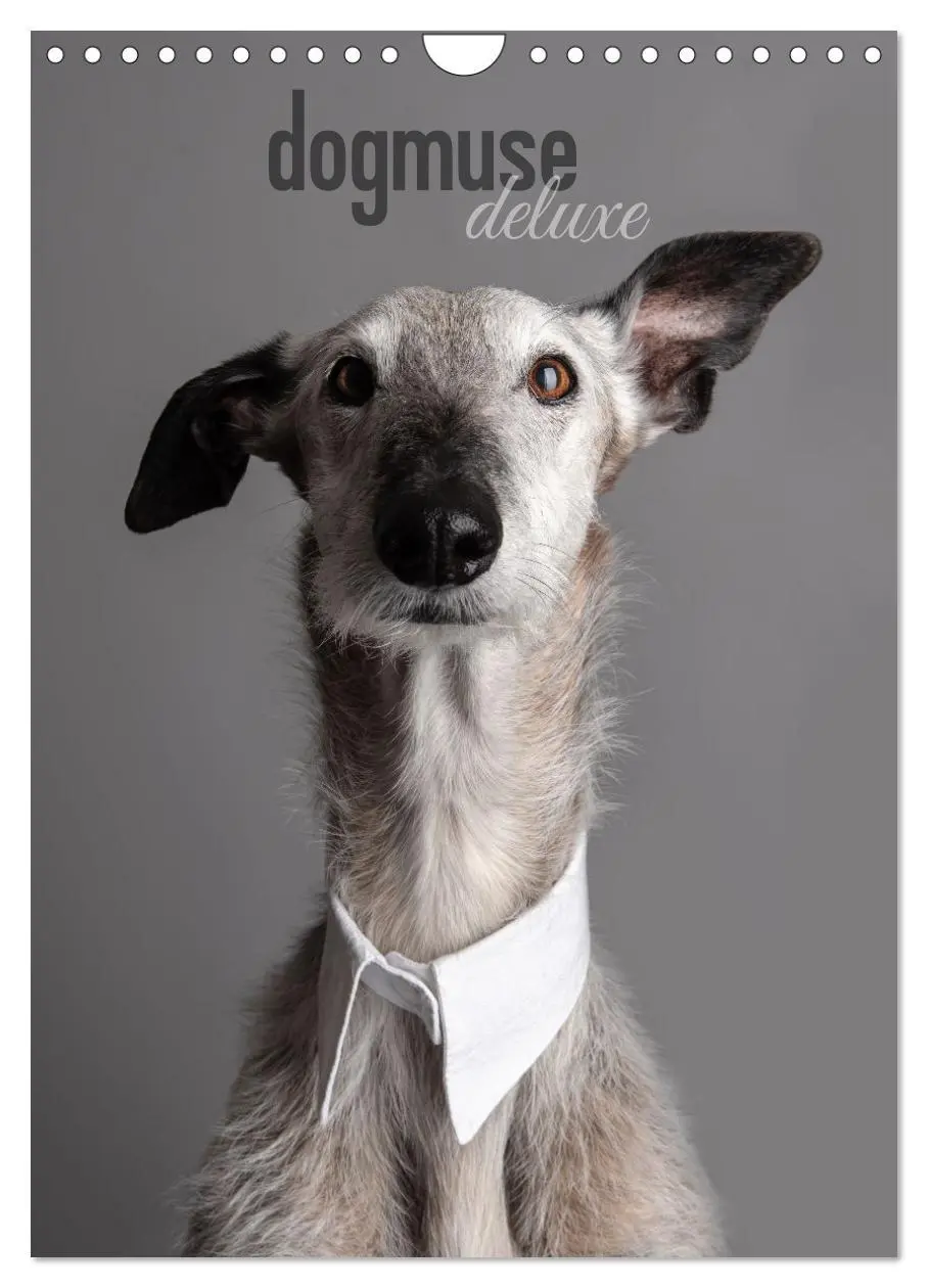 Cover: 9783457303177 | dogmuse deluxe (Wandkalender 2026 DIN A4 hoch), CALVENDO...