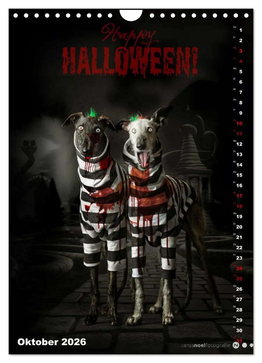 Bild: 9783457303177 | dogmuse deluxe (Wandkalender 2026 DIN A4 hoch), CALVENDO...