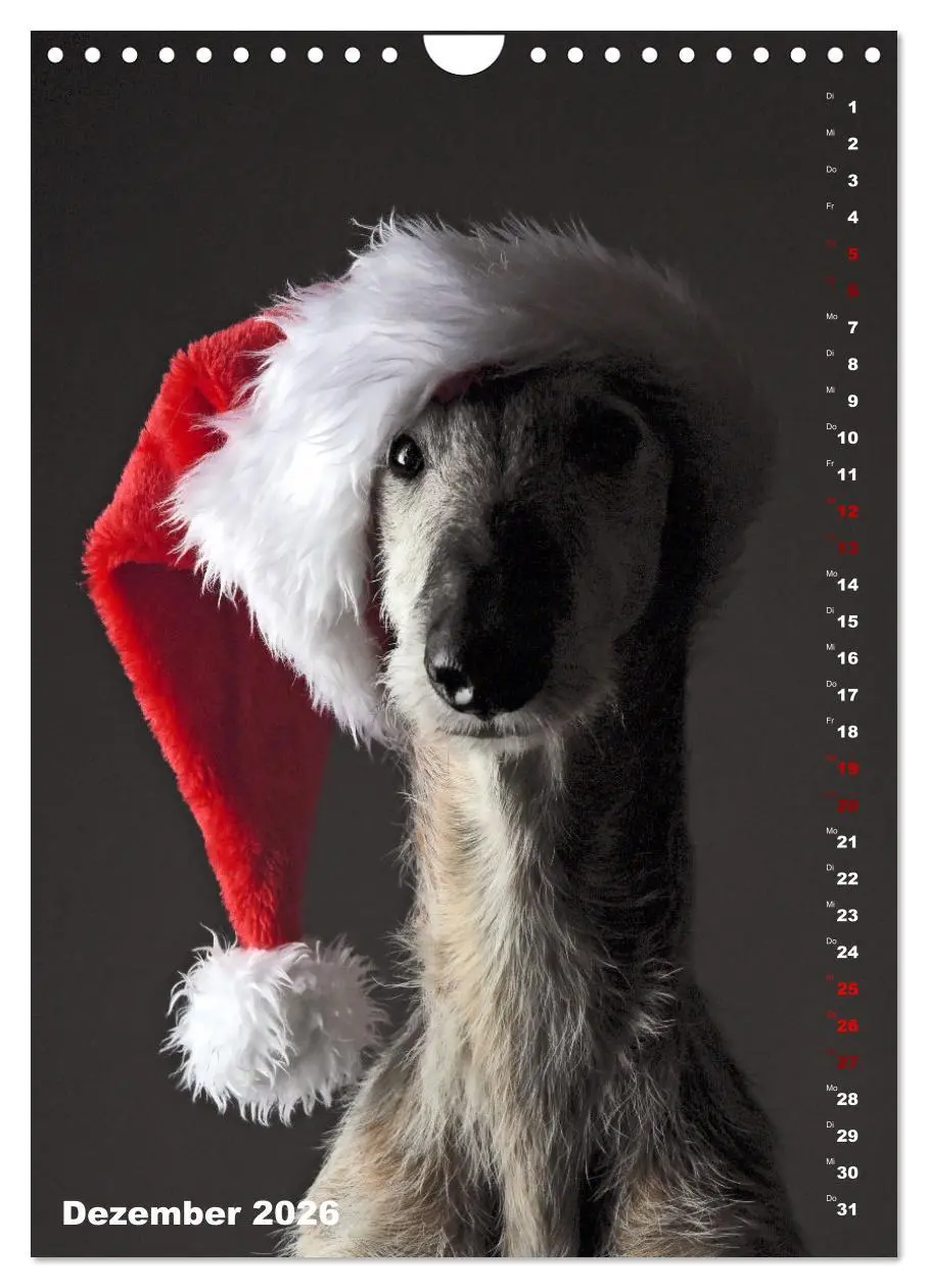 Bild: 9783457303177 | dogmuse deluxe (Wandkalender 2026 DIN A4 hoch), CALVENDO...
