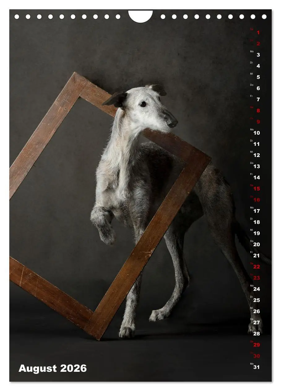Bild: 9783457303177 | dogmuse deluxe (Wandkalender 2026 DIN A4 hoch), CALVENDO...