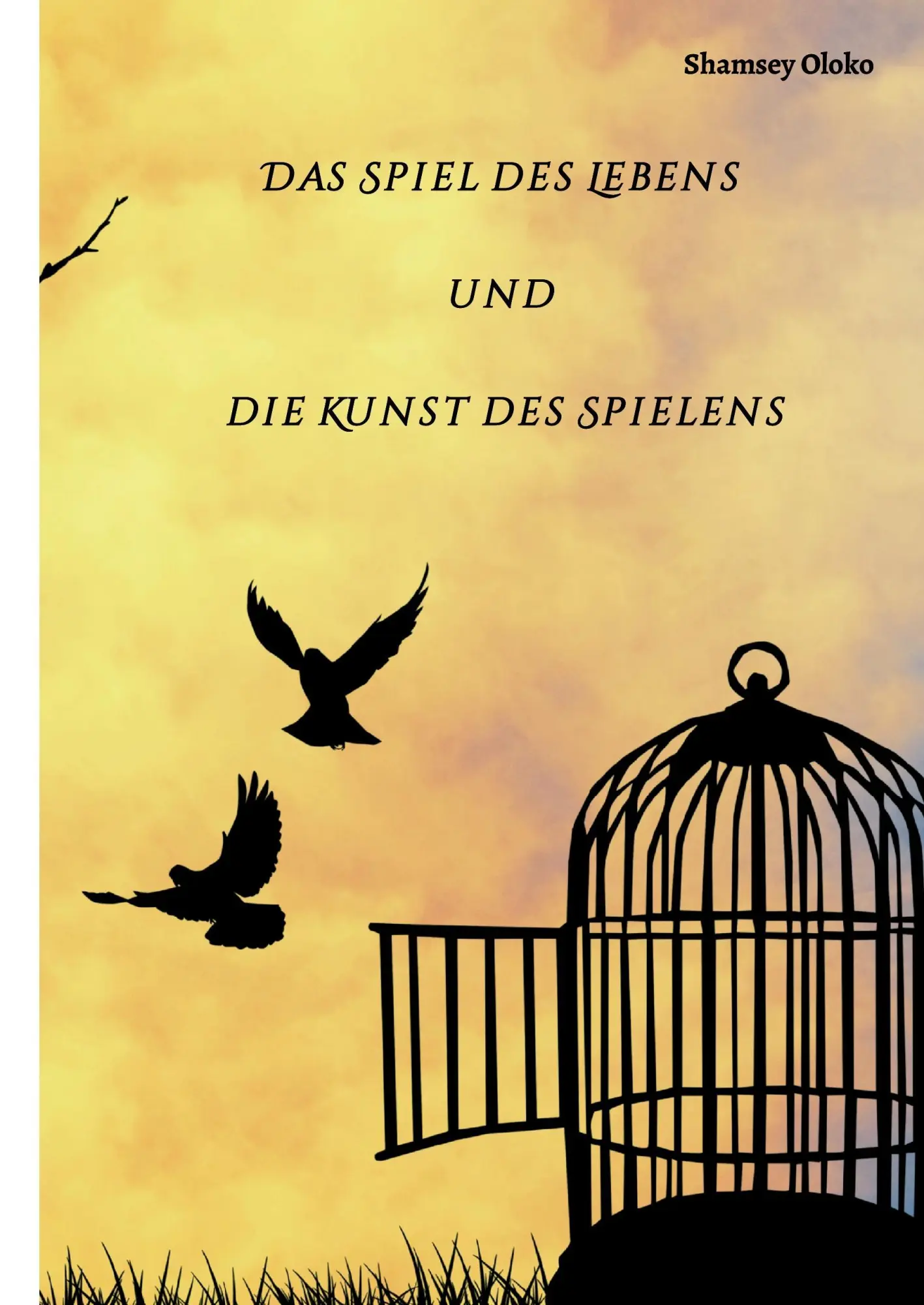 Cover: 9783743953277 | Das Spiel des Lebens und die Kunst des Spielens | Shamsey Oloko | Buch