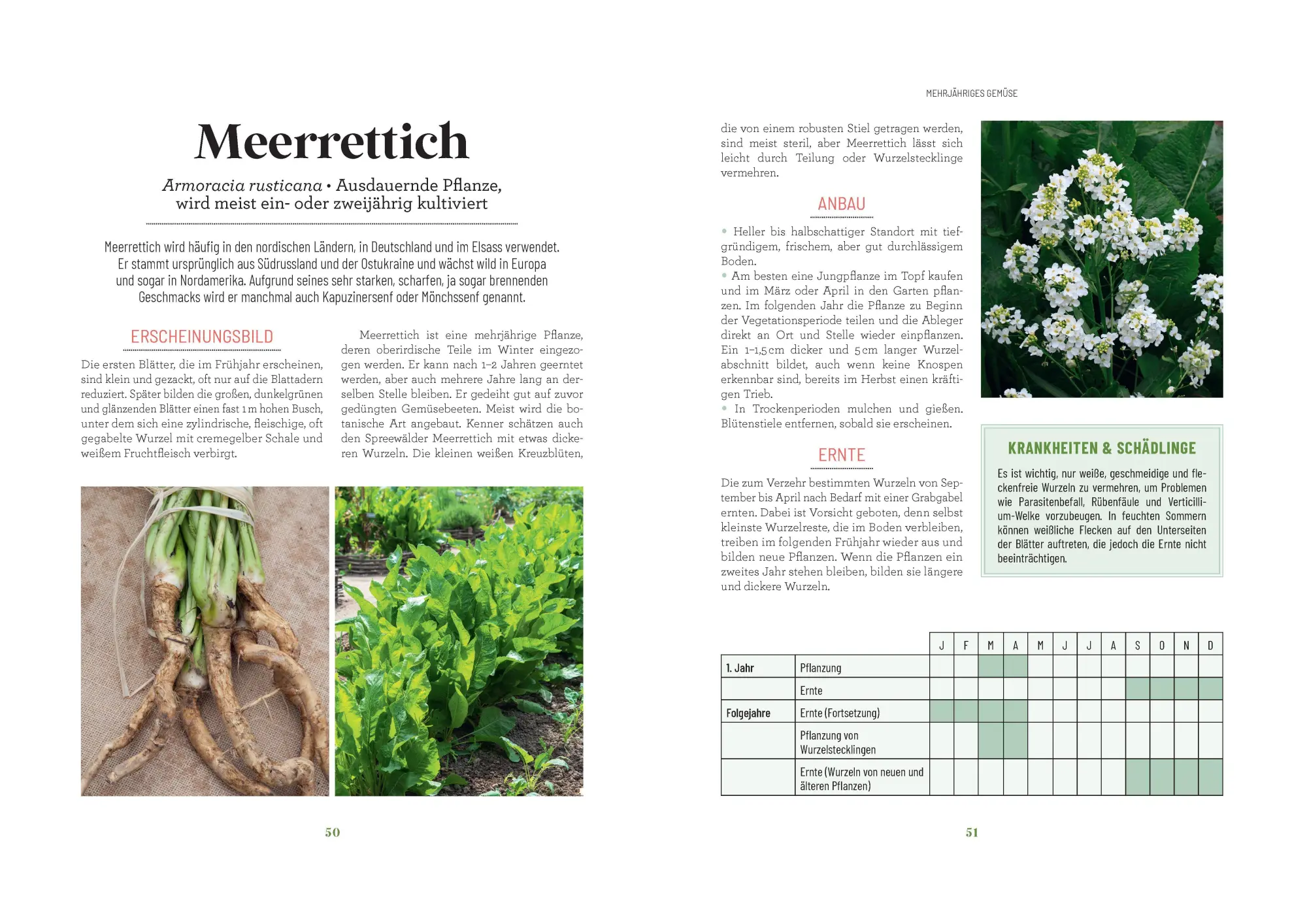Bild: 9783809453277 | Der Survival-Garten - Gemüse- und Obstsorten, die allen...