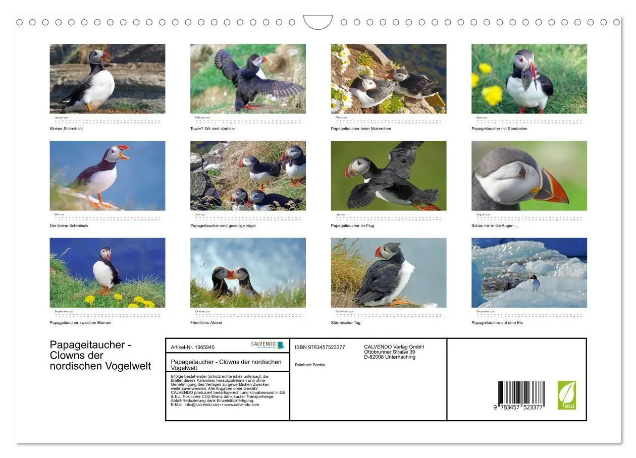 Bild: 9783457523377 | Papageitaucher - Clowns der nordischen Vogelwelt (Wandkalender 2026...