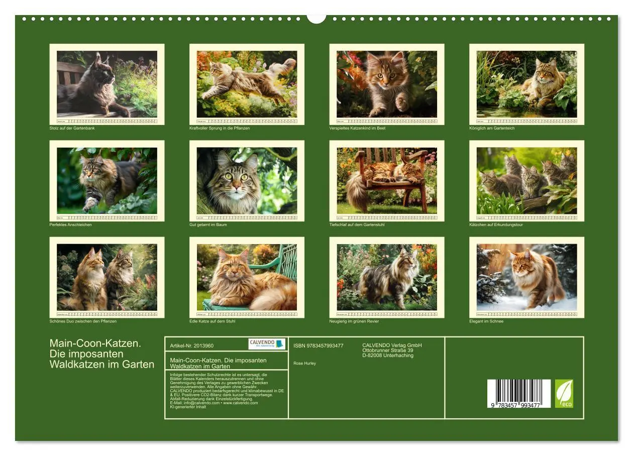 Bild: 9783457993477 | Main-Coon-Katzen. Die imposanten Waldkatzen im Garten (hochwertiger...