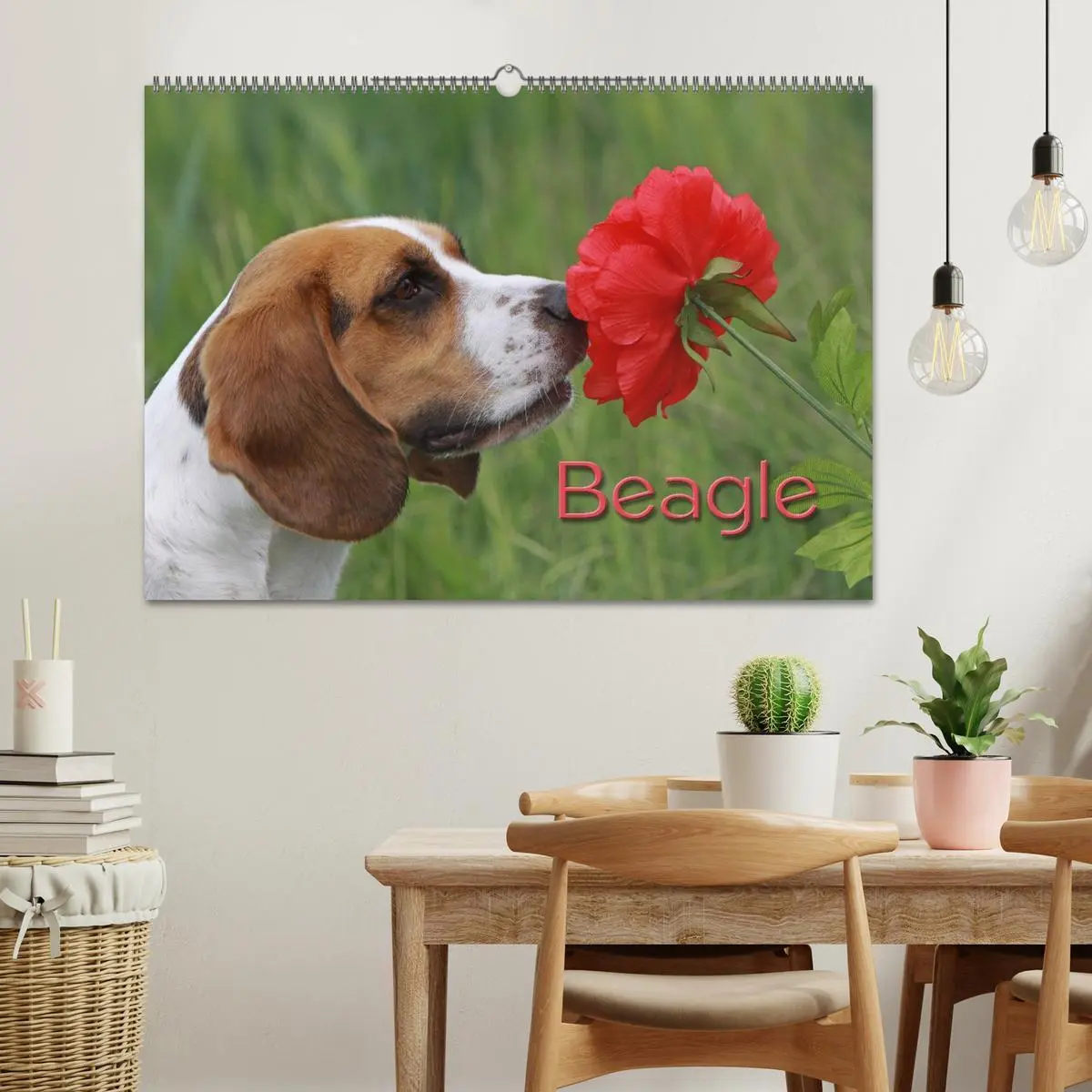 Bild: 9783516153477 | Beagle (Wandkalender 2026 DIN A2 quer), CALVENDO Monatskalender | Berg
