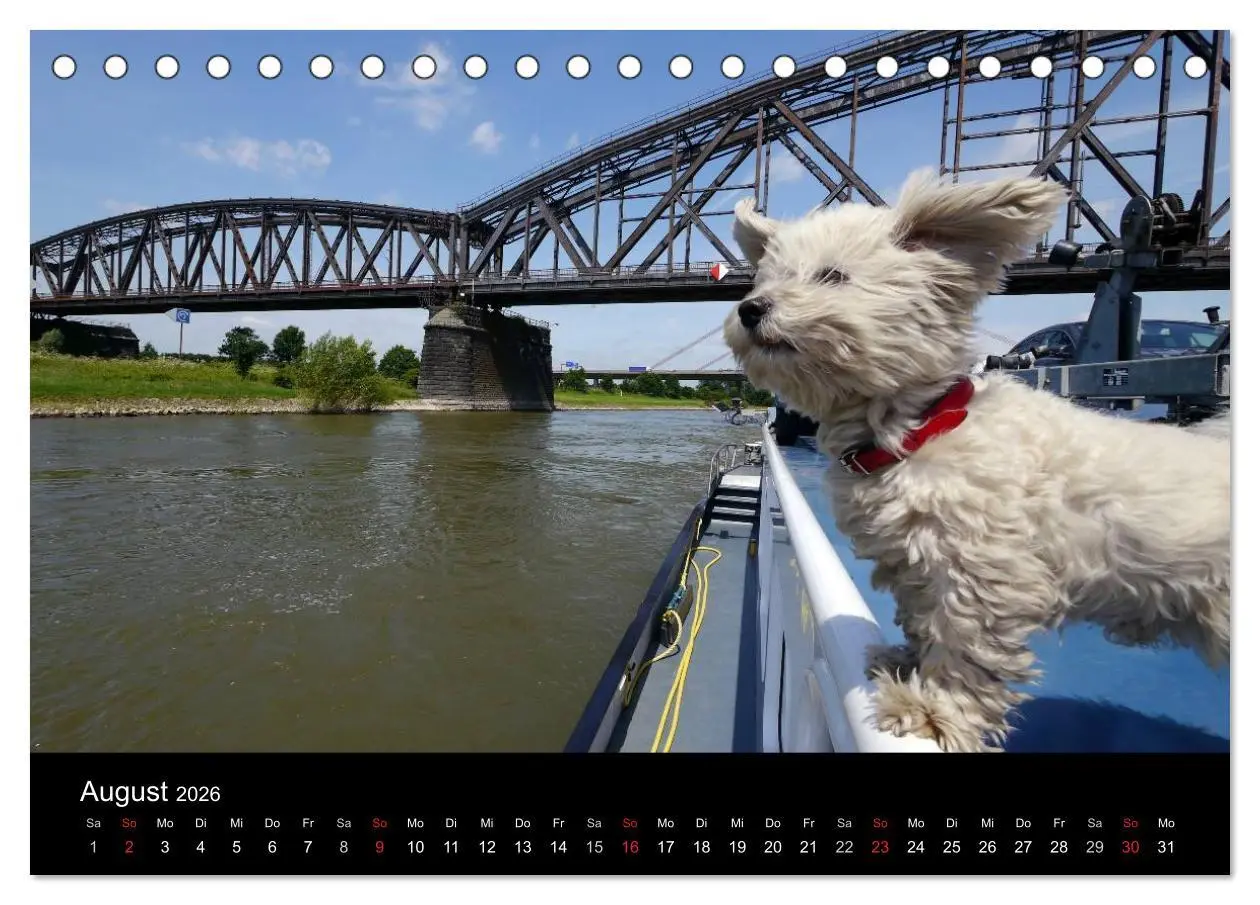 Bild: 9783516223477 | Binnenschiff Ahoi! (Tischkalender 2026 DIN A5 quer), CALVENDO...
