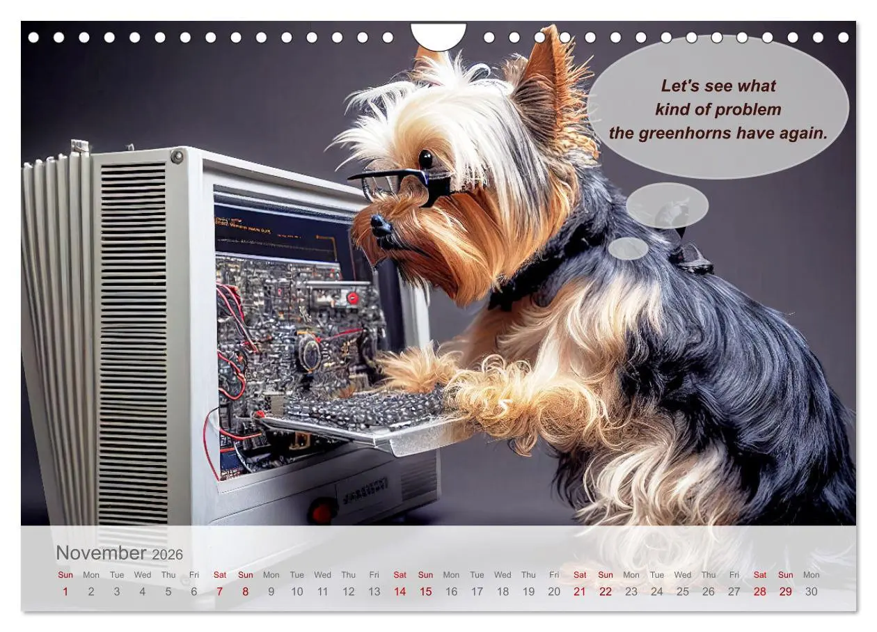 Bild: 9783516533477 | You really think you are an IT expert (Wall Calendar 2026 DIN A4...