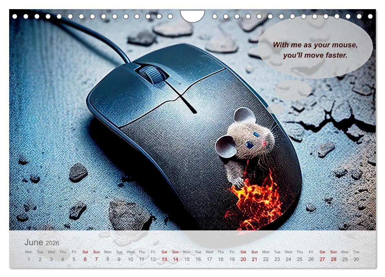 Bild: 9783516533477 | You really think you are an IT expert (Wall Calendar 2026 DIN A4...