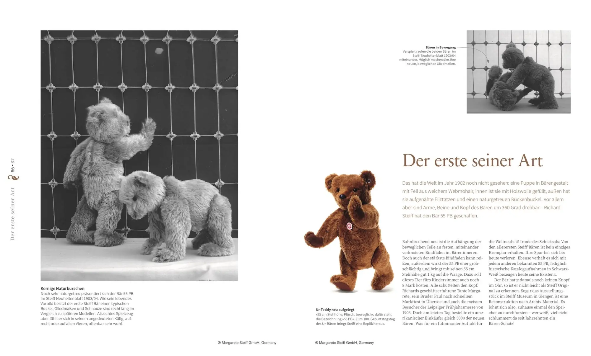 Bild: 9783831043477 | Das Steiff Teddybären Buch | Elisabeth Schnurrer | Buch | 200 S.