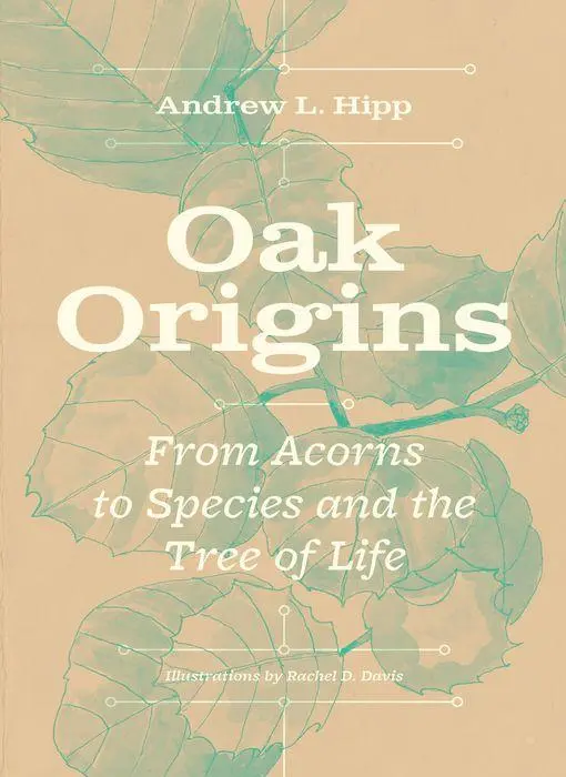 Cover: 9780226823577 | Oak Origins | From Acorns to Species and the Tree of Life | Hipp