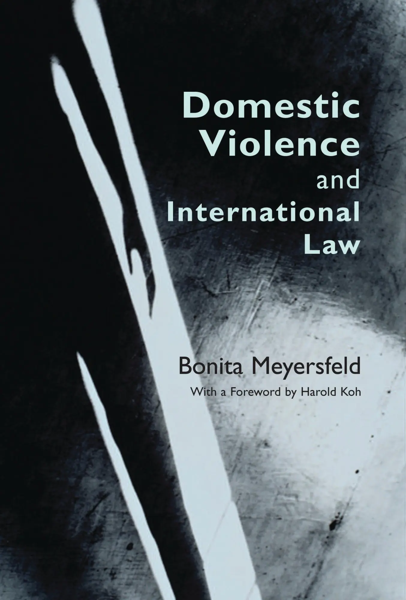 Cover: 9781849463577 | Domestic Violence and International Law | Bonita Meyersfeld | Buch