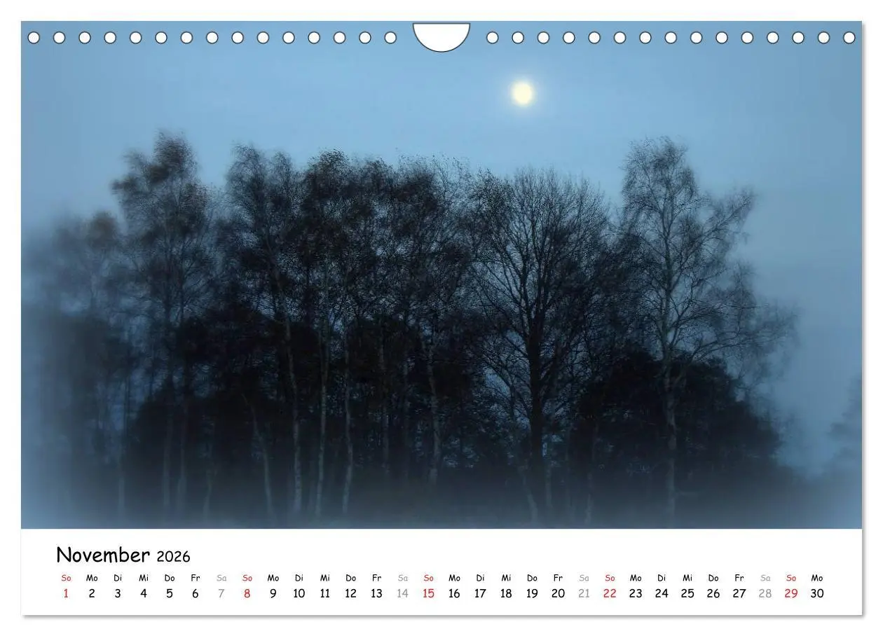 Bild: 9783516073577 | Unterwegs im Teufelsmoor (Wandkalender 2026 DIN A4 quer), CALVENDO...