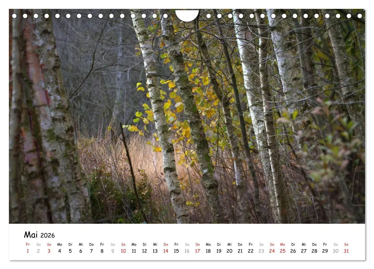 Bild: 9783516073577 | Unterwegs im Teufelsmoor (Wandkalender 2026 DIN A4 quer), CALVENDO...