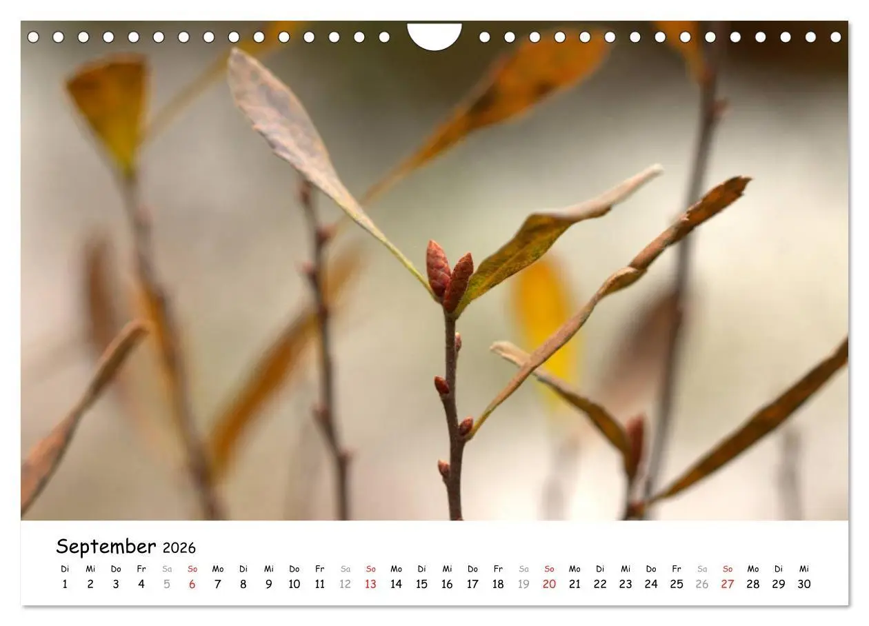 Bild: 9783516073577 | Unterwegs im Teufelsmoor (Wandkalender 2026 DIN A4 quer), CALVENDO...