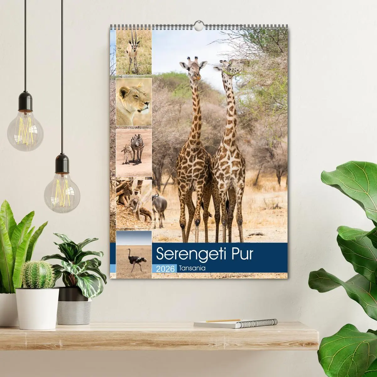 Bild: 9783516383577 | Serengeti Pur - Tansania (Wandkalender 2026 DIN A2 hoch), CALVENDO...