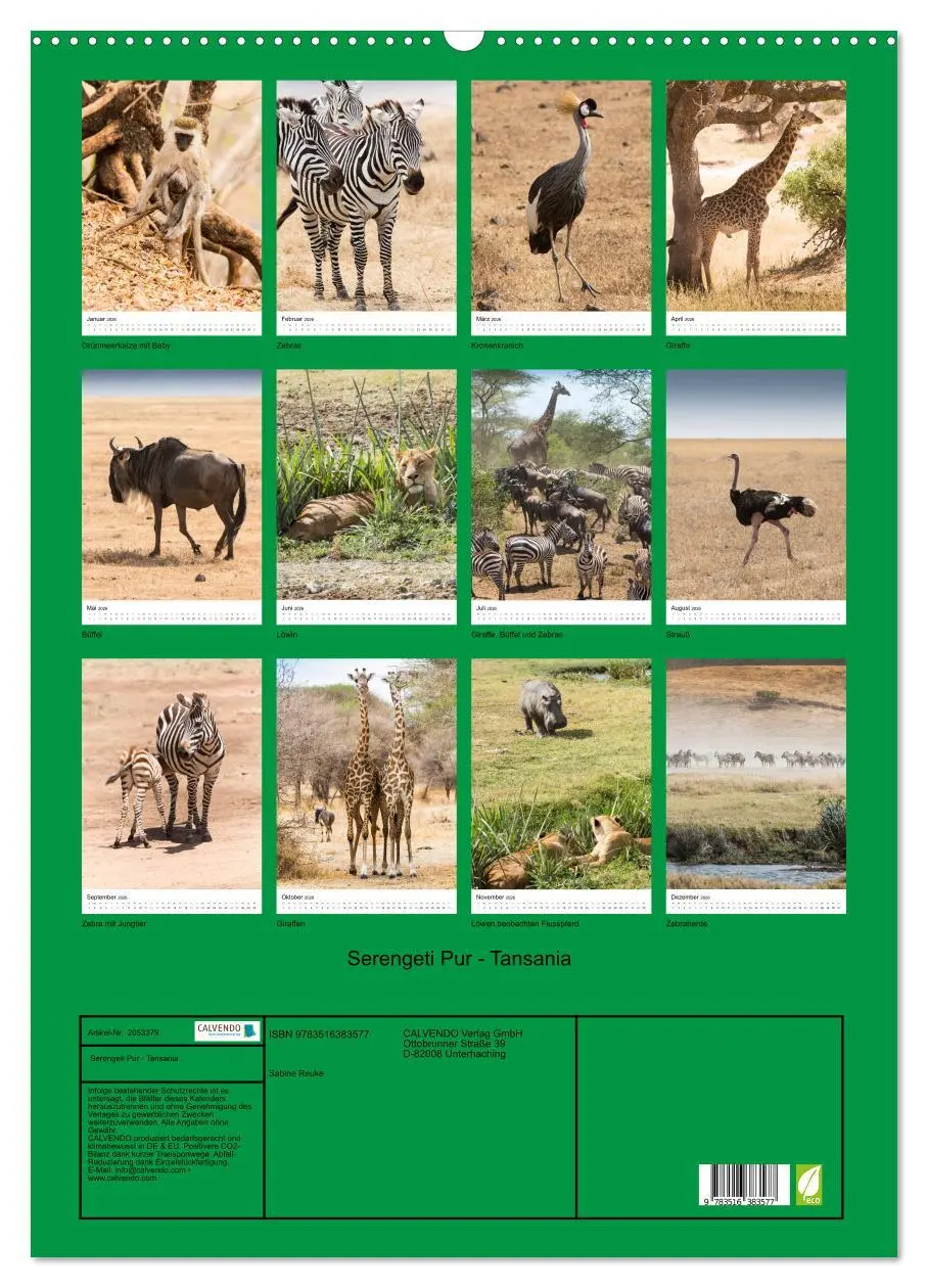 Bild: 9783516383577 | Serengeti Pur - Tansania (Wandkalender 2026 DIN A2 hoch), CALVENDO...