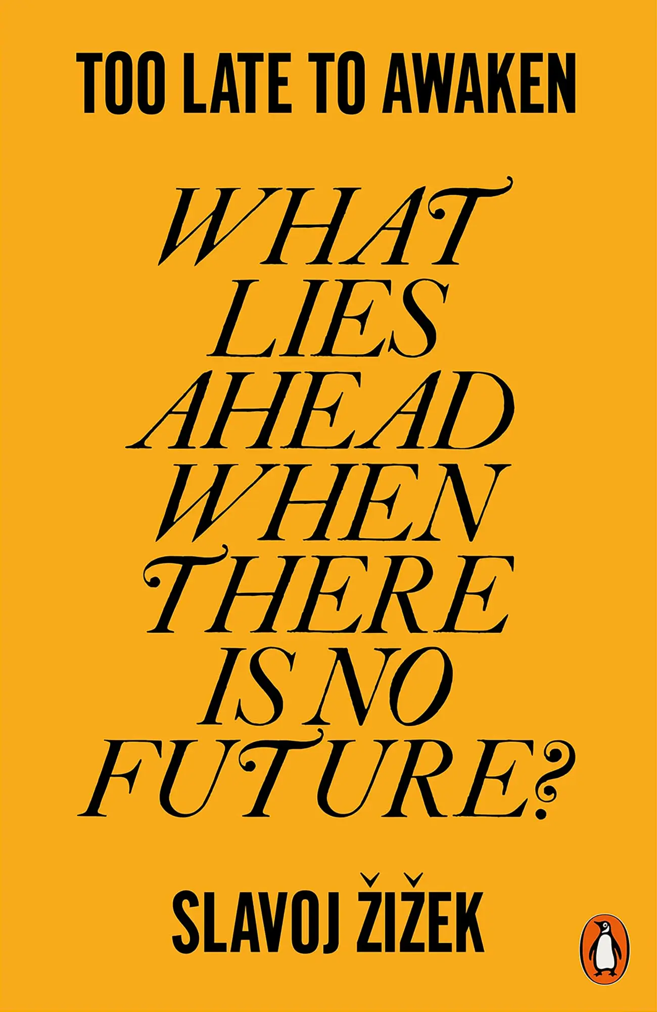 Cover: 9781802063677 | Too Late to Awaken | What Lies Ahead When There is No Future? | Zizek