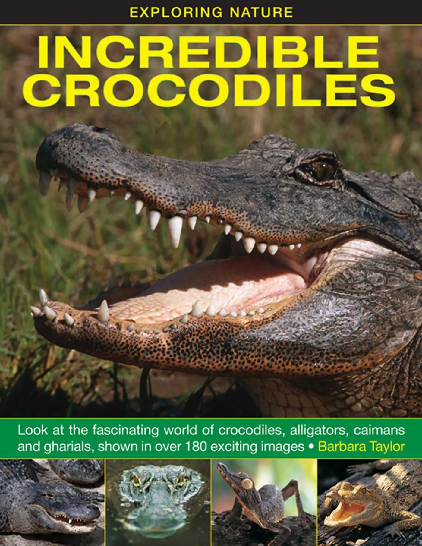Cover: 9781861473677 | Exploring Nature: Incredible Crocodiles | Barbara Taylor | Buch | 2014