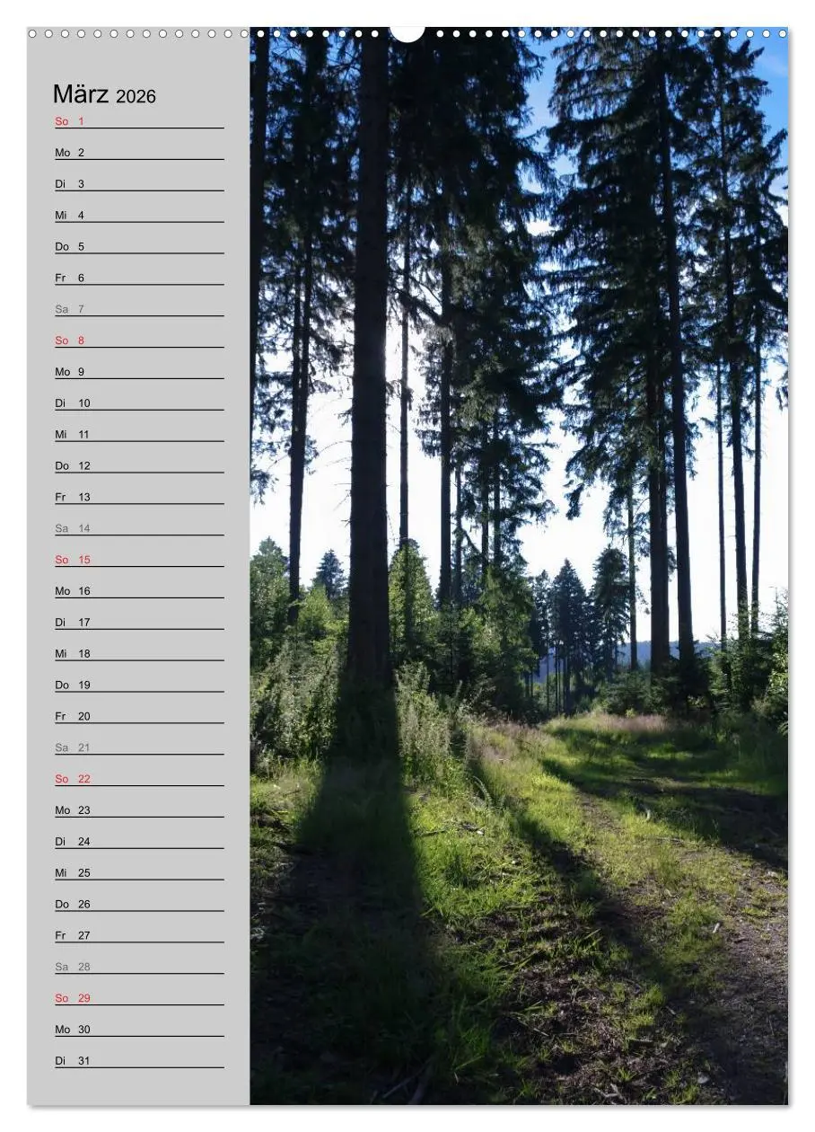 Bild: 9783516433777 | Traumhaftes Siegerland 2026 (Wandkalender 2026 DIN A2 hoch),...