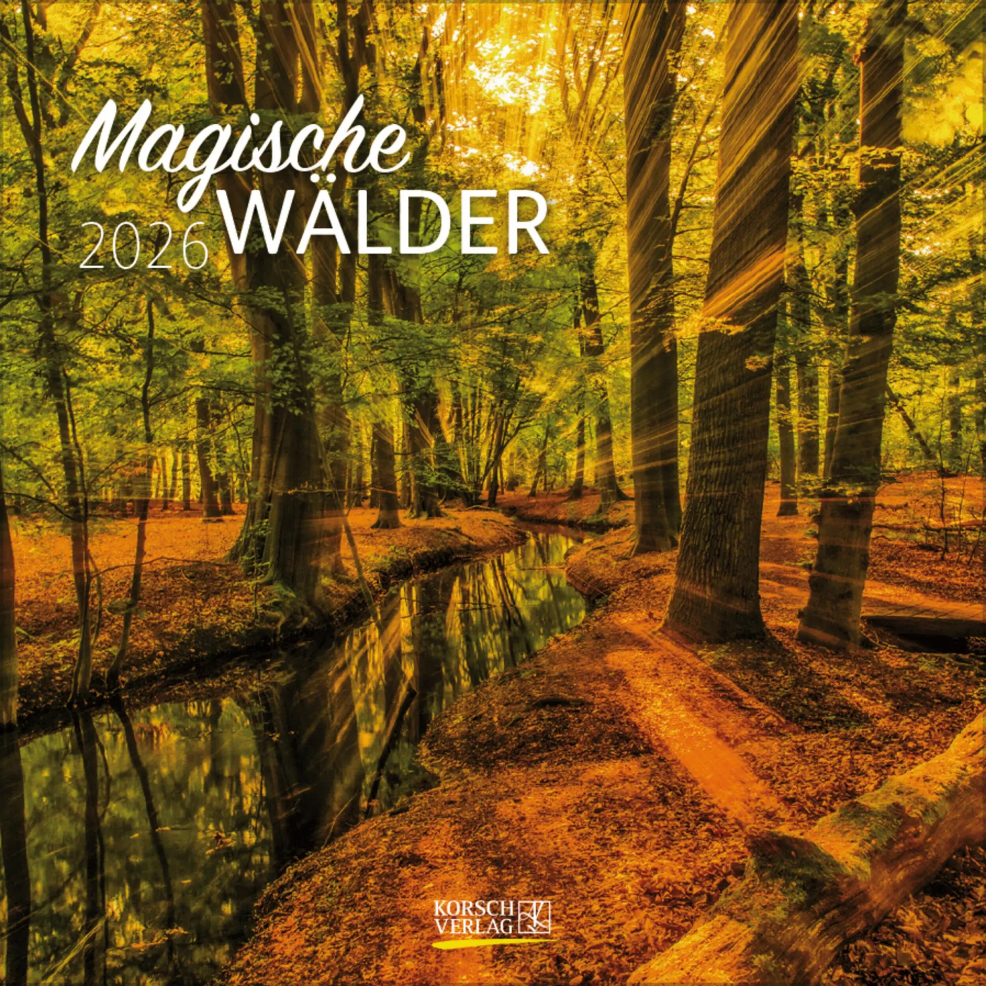Cover: 9783731883777 | Magische Wälder 2026 | Verlag Korsch | Kalender | 13 S. | Deutsch