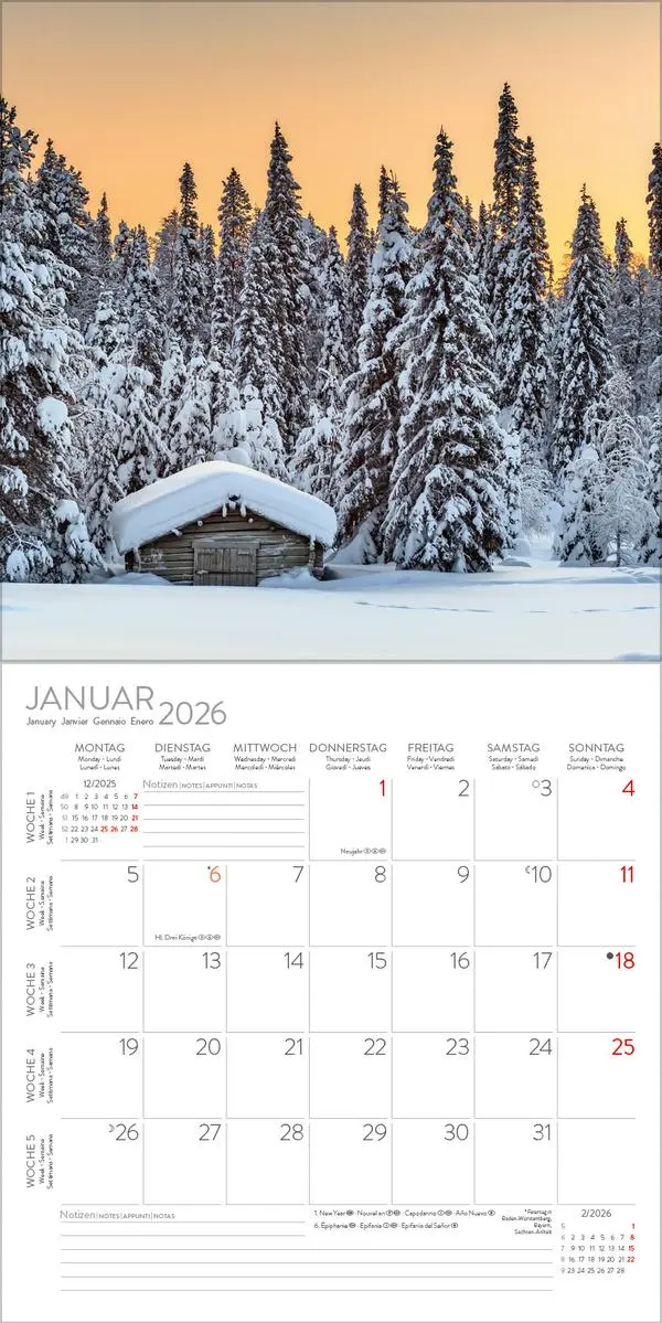 Bild: 9783731883777 | Magische Wälder 2026 | Verlag Korsch | Kalender | 13 S. | Deutsch